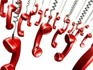 Какие консультации оказывают специалисты горячей линии?